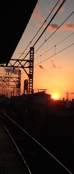 夕陽が綺麗な時間に帰れるのは得した気分