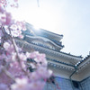 城、桜を添えて