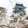 城、桜を添えてその弐