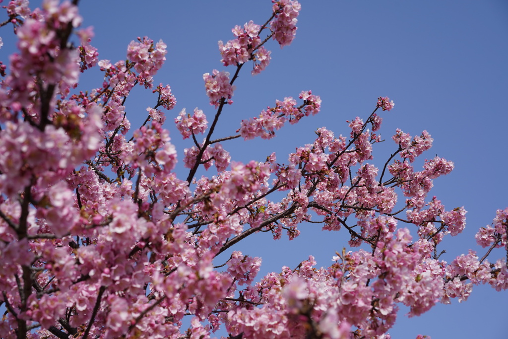 楽しい事が目白押しの春に