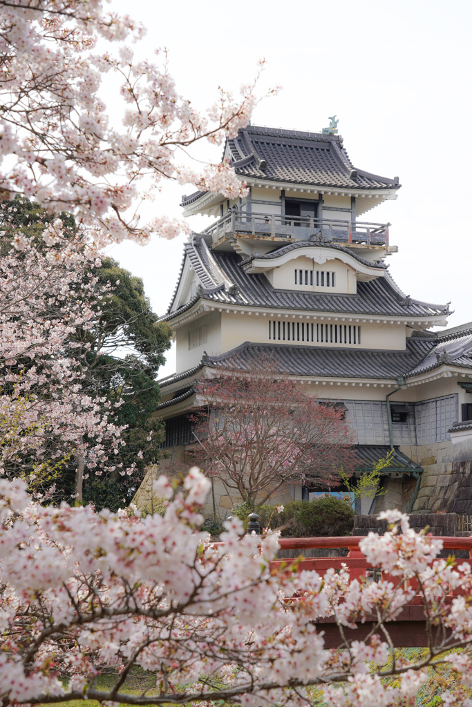 小山城の春