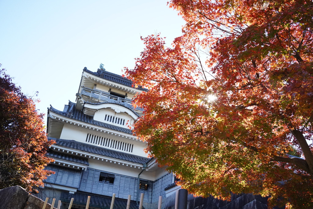 小山城と紅葉で高揚