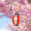 桜に染まる令和7年