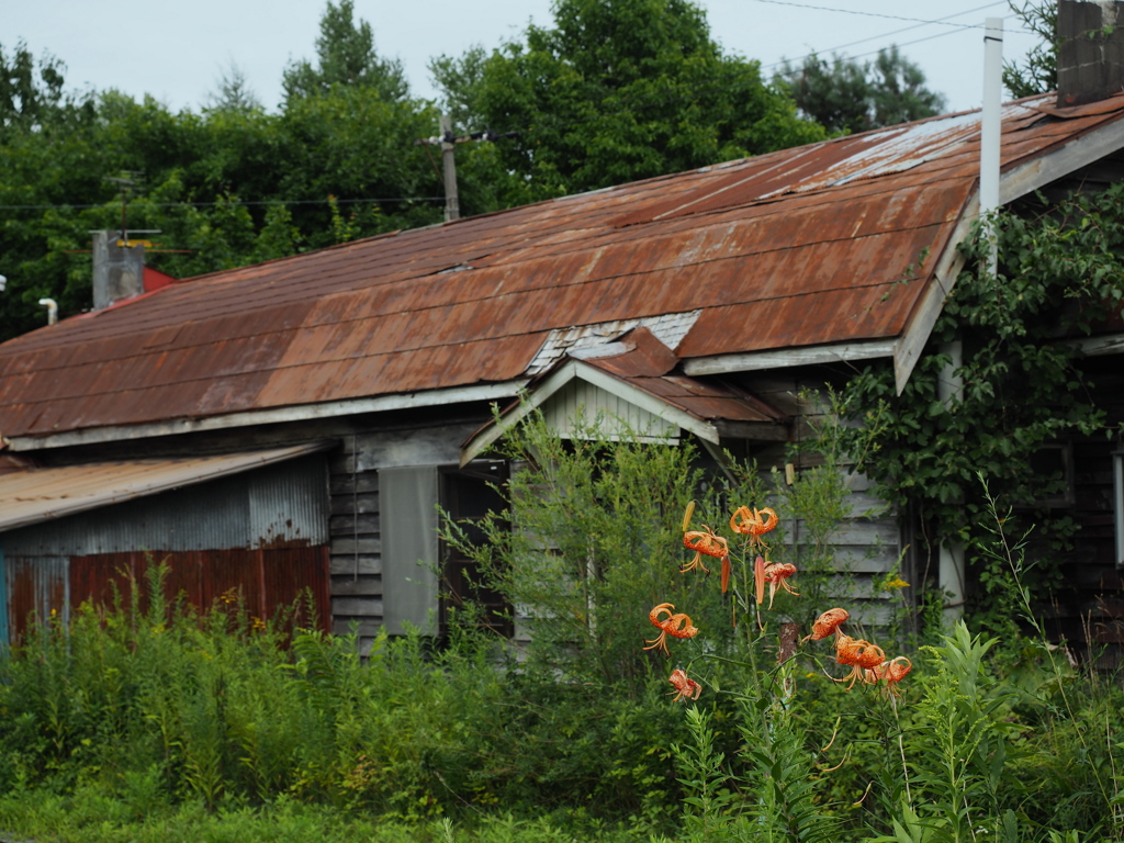 百合とギャンブレル