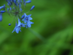 透き通る青