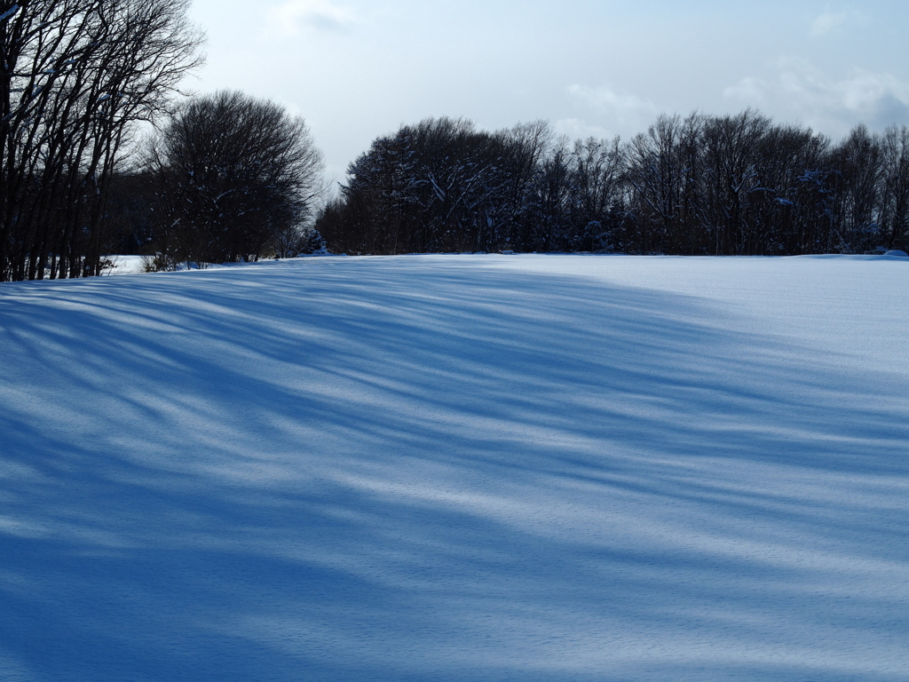 雪原の風