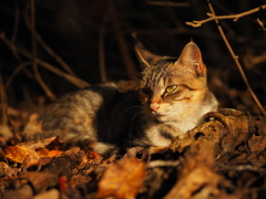 ぬくもりに何思う