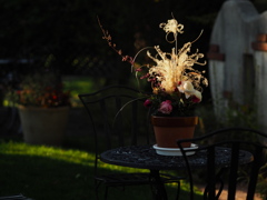 過ぎ去った薔薇へのオマージュ