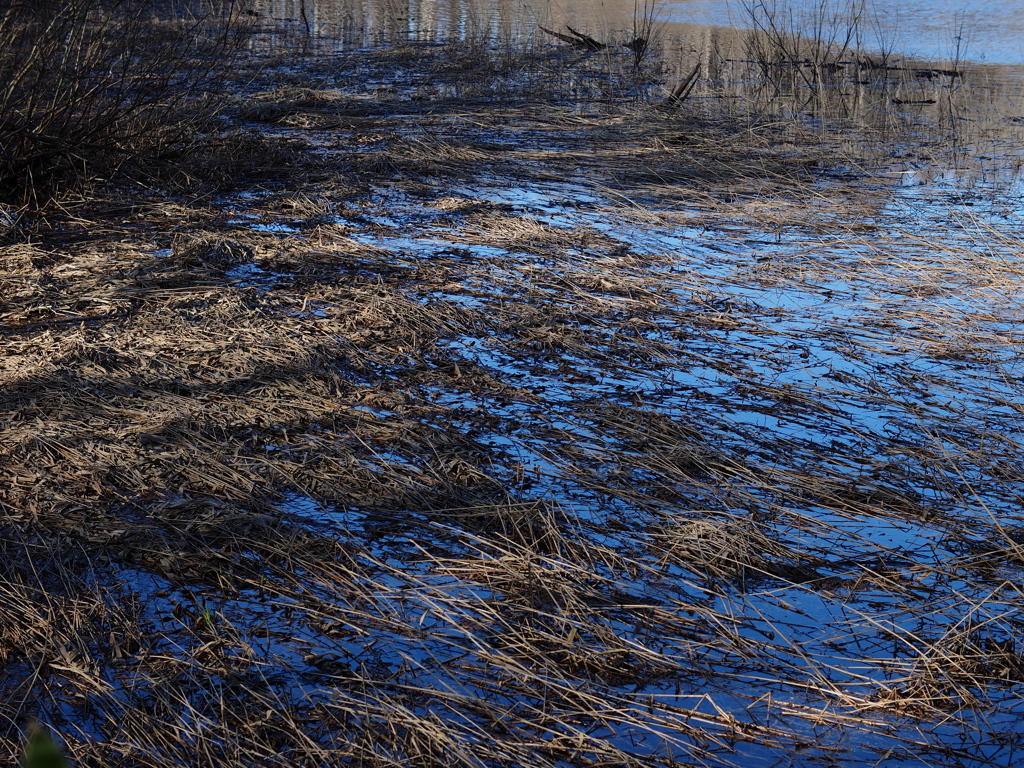 青の水面