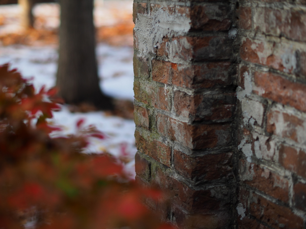 旧農場のcomposition