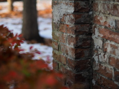 旧農場のcomposition