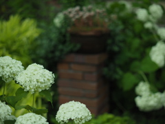 薔薇園へようこそ