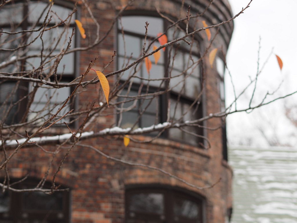 煉瓦の街の硝子館