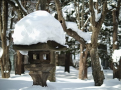 トップヘビーの杜