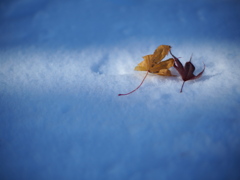 ふたりで墜ちる