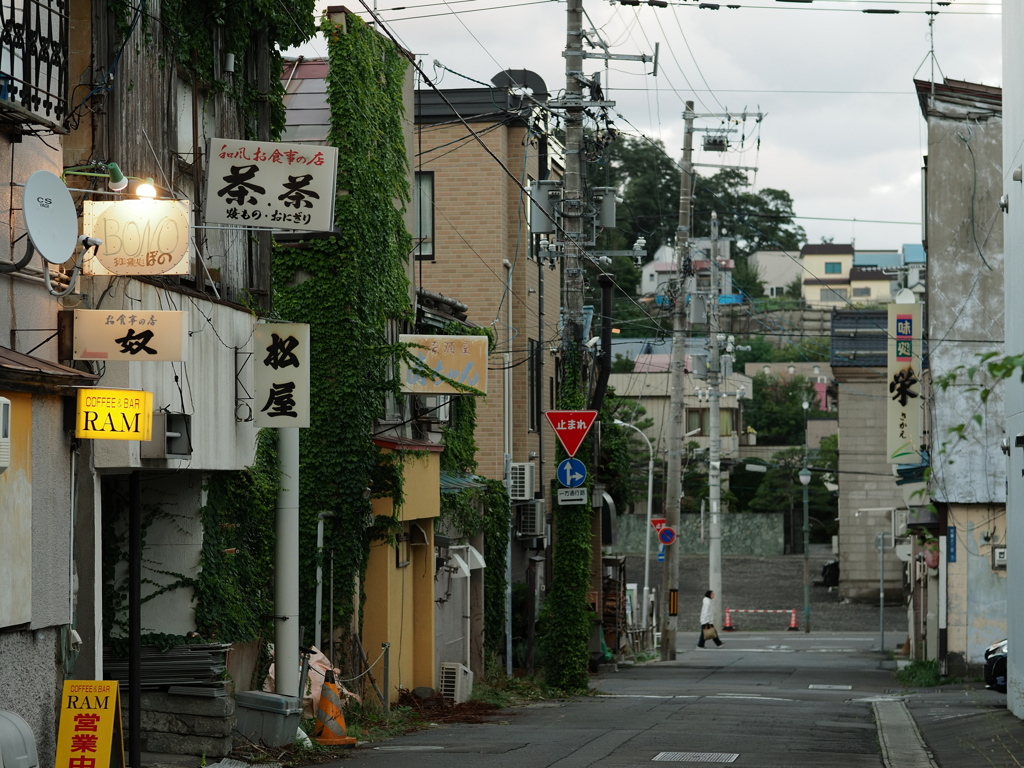 花園に灯が点り始める