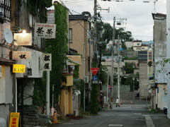 花園に灯が点り始める