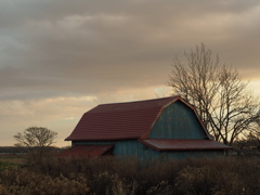 枯野のギャンブレル