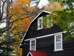 晩秋・ギャンブレル