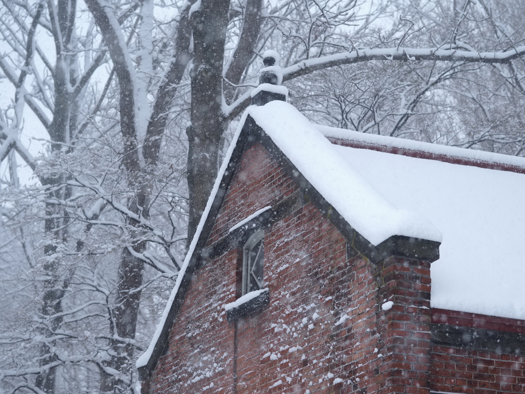 農場に雪が降る
