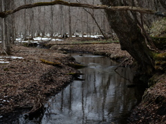 春の小川