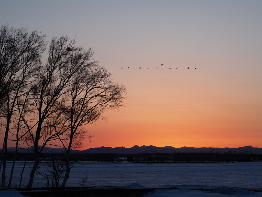 北海道早春風景