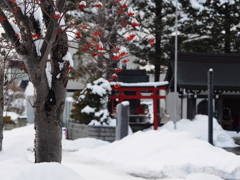 雪中の赤