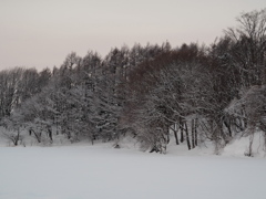 1/27　通勤風景　着雪