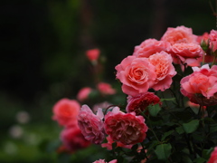 金曜の夜に花束