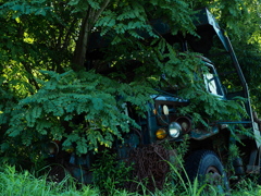 何時の日か再び