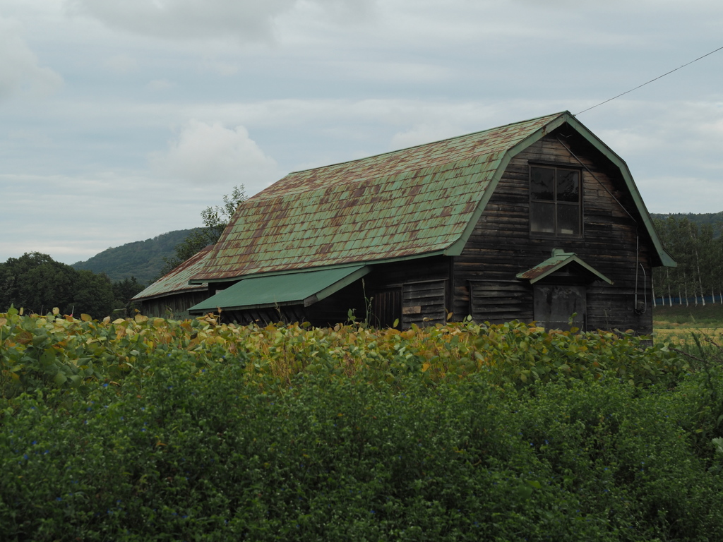 実りとギャンプレル
