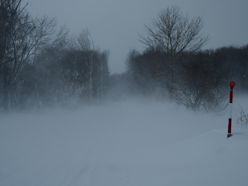 地吹雪の散歩道