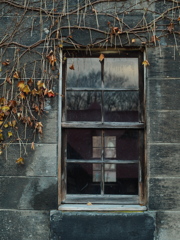 蔦の窓