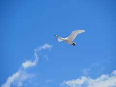 ひとりの空