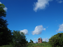 晩夏
