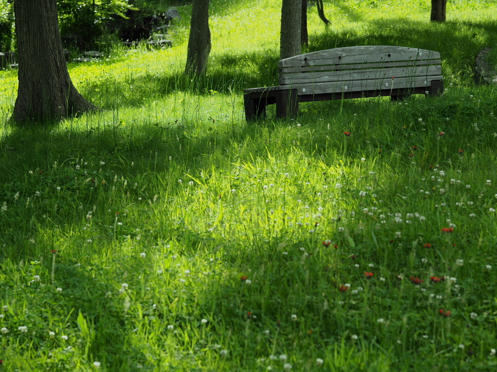 こもれび・やすらぎ