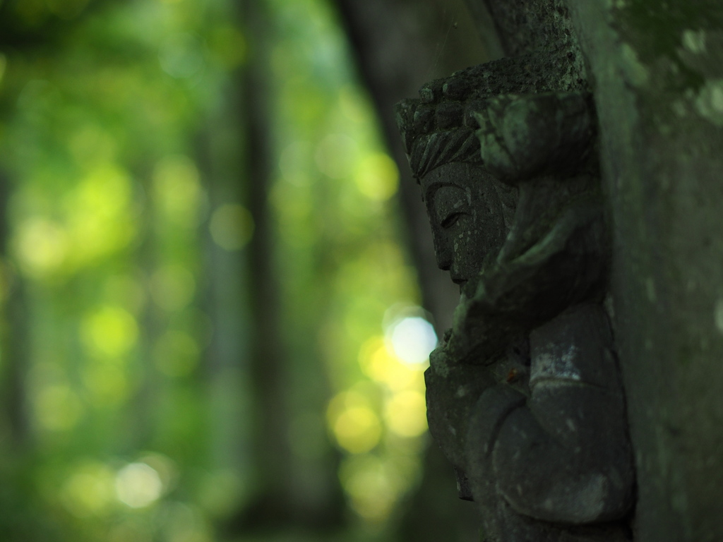 木洩れ日に祈る
