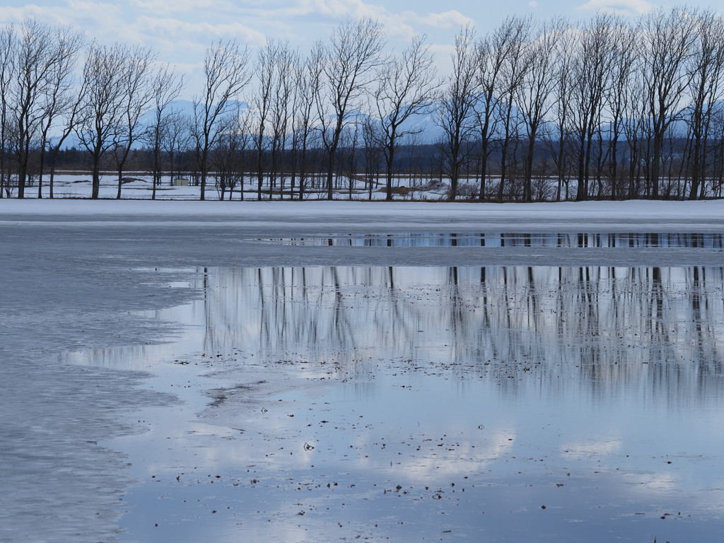 春の水鏡