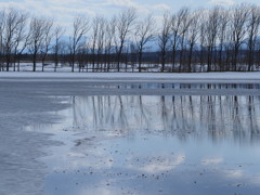 春の水鏡