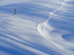 雪の畔