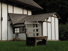 明日のことなど考えずにボンヤリ生きていたい