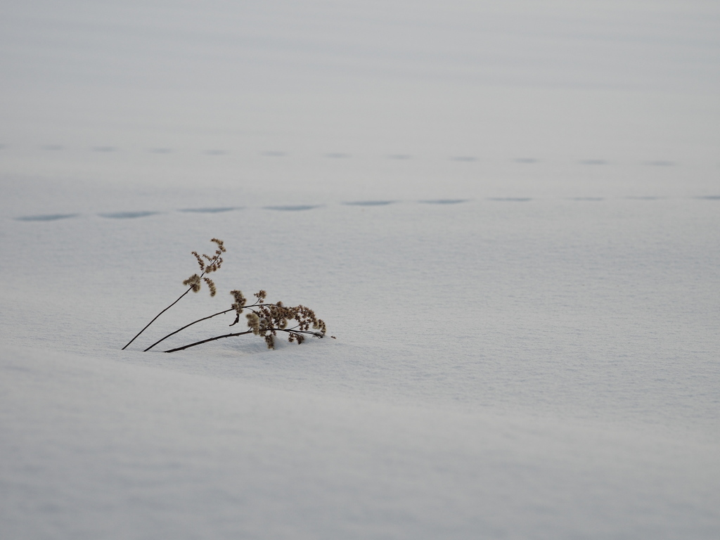 なにもない場所