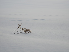 なにもない場所