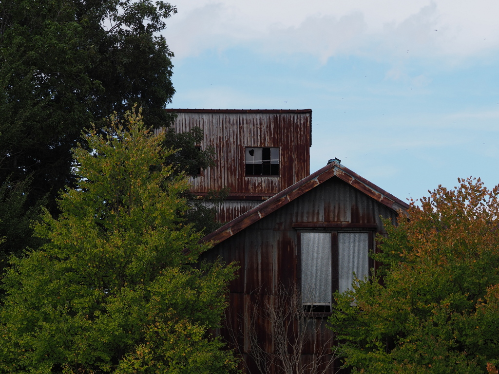 うしろにいるの