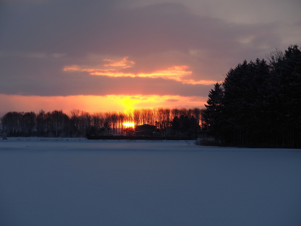 極私的初日の出