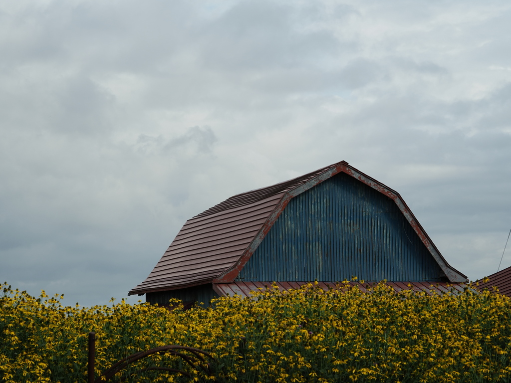 うもれる・ぎゃんぶれる