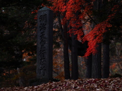 碑と赤