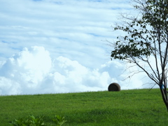 ロールのある風景