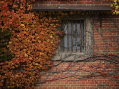 鉄格子の秋