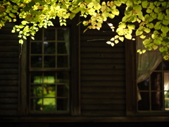 桂の窓